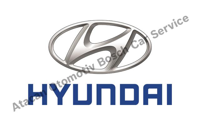 Muğla Hyundai Servisi