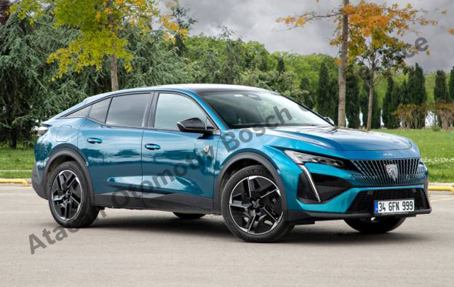 Muğla Peugeot Servisi  Atacan Otomotiv Bosch Car Service